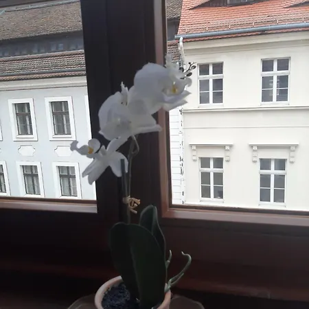 Lägenhet Fw 50 - Mitten In Der Historischen Altstadt Mit Balkon Görlitz