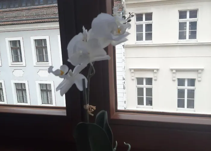 Apartmán Fw 50 - Mitten In Der Historischen Altstadt Mit Balkon Görlitz